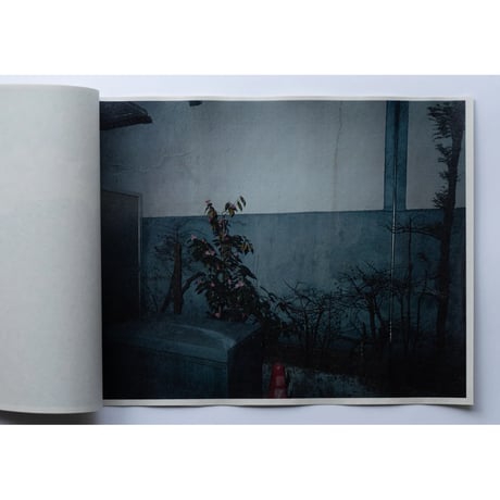 「街」ZINE / "Streets" Zine