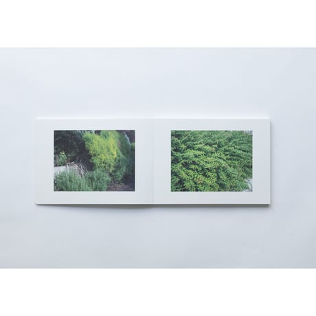 写真はこころ / Photographs of the Heart