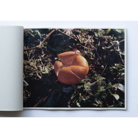 「さくら」ZINE / "cherry blossoms" ZINE