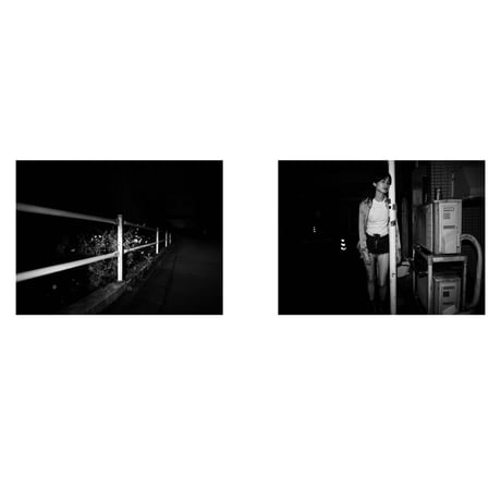 VIATOR / SWELL