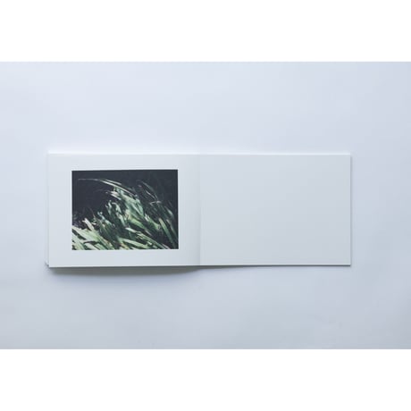 写真はこころ / Photographs of the Heart