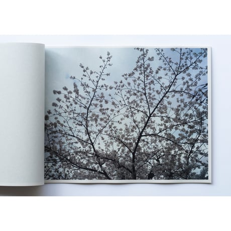 「さくら」ZINE / "cherry blossoms" ZINE