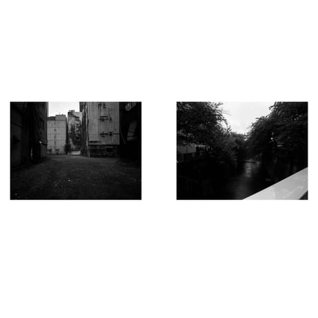 VIATOR / SWELL