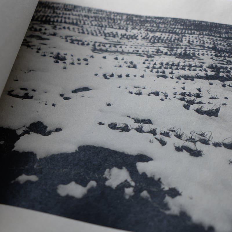 アーティストブック「つづいてゆくものの中で」A4サイズ プリント