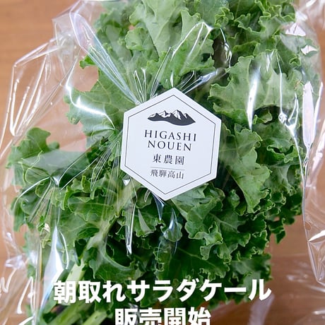 朝取れサラダケール　サラダの主役