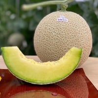委託販売　飛騨高山メロン　林農園