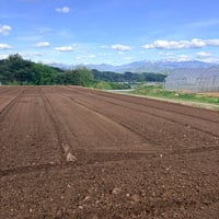 髙橋さんカブスナップ詰め合わせ