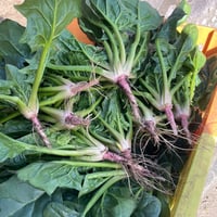 寒締め　ほうれん草