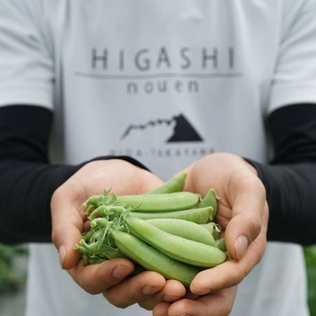 5月末から　春のスペシャリテ　スナップエンドウ500g-1kg