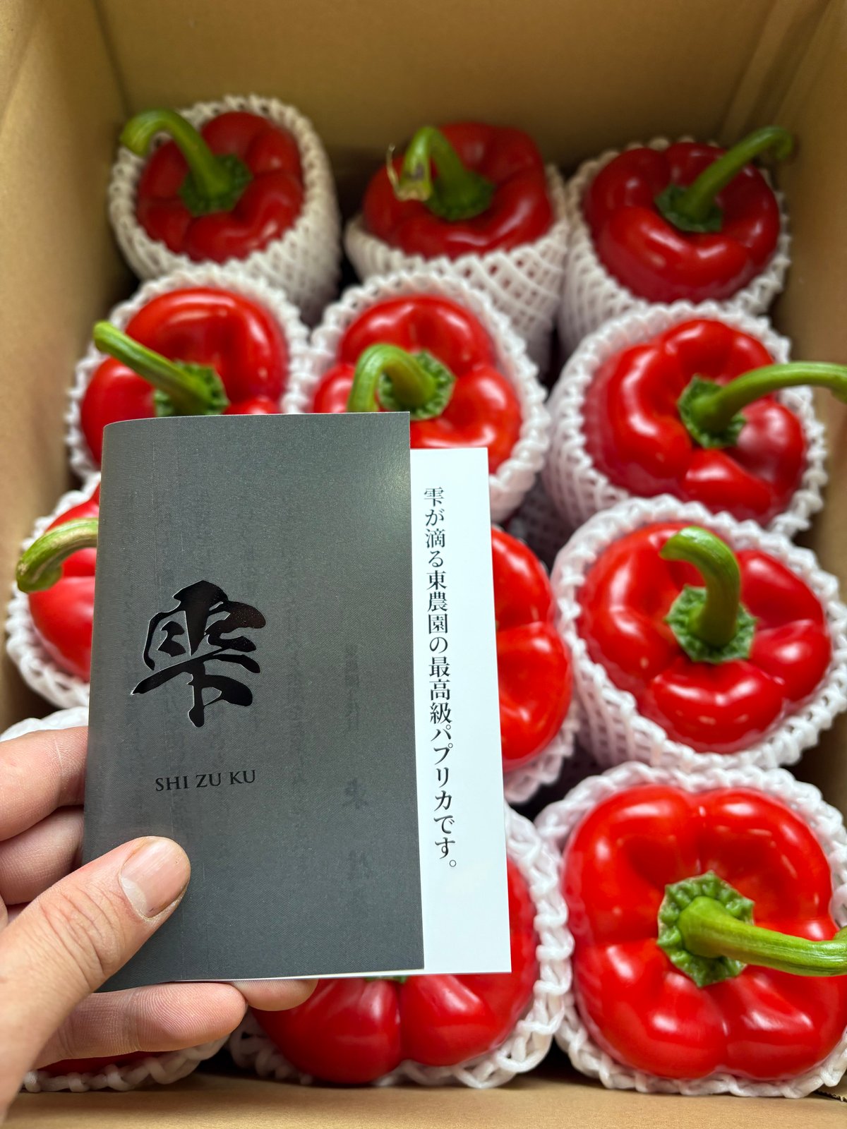 パプリカ 鮮度抜群！高知県産パプリカ 1kg～ | みつコレ