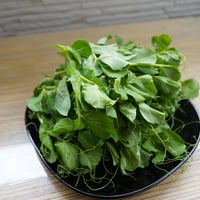 ビーンズリーフ（スナップエンドウ新芽）