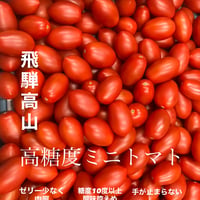 高糖度　飛騨高山ミニトマト