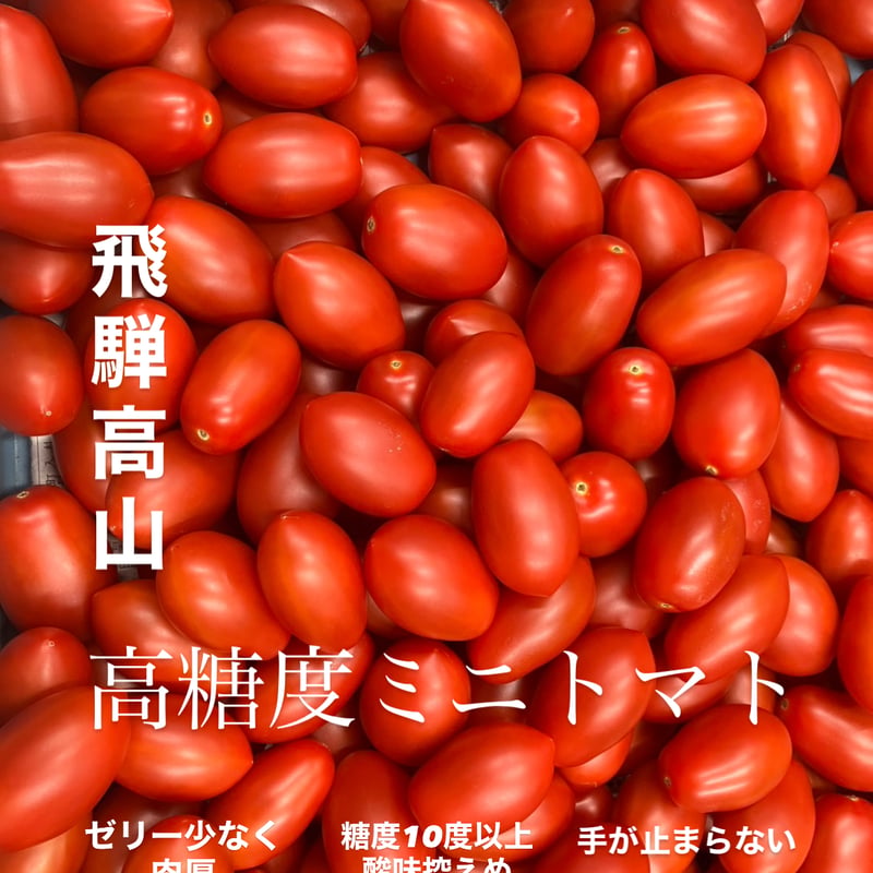高糖度 飛騨高山ミニトマト | higashinouen shop