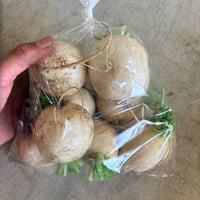 カブアウトレット