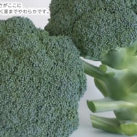 霜ブロッコリー 4個入り