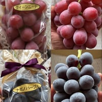 高級葡萄の食べ比べセット