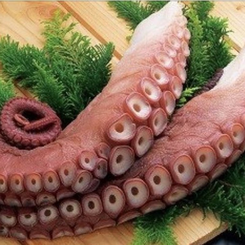 たこ 北海道産 酢蛸 1本足 約500g 蛸 珍味 タコ たこ つまみ 肴（北海道礼文