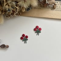 赤い実/ 2枚セット/刺繍アイロンワッペン