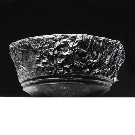 ＜ceramic pot ＞ SHARK_Metallic type_W1