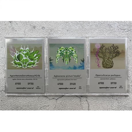 ＜Trading Cards ＞monster plants set of 3 Pre-sale of TCG sales commemoration トレーディングカードゲーム販売記念3枚セット