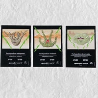 ＜Trading Cards ＞monster plants set 18Cards  トレーディングカードセット18枚入
