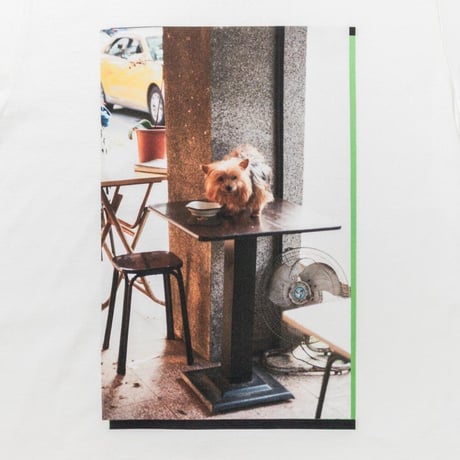 TACOMA FUJI RECORDS タコマフジレコード "Table Dog LS photography by Reiko Toyama designed by Satoshi Suzuki"