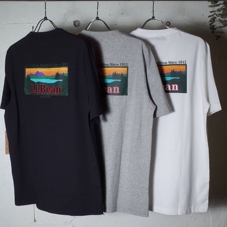 L.L.Bean エルエルビーン"Carefree Unshrinkable Tee, Short-Sleeve Graphic 2"