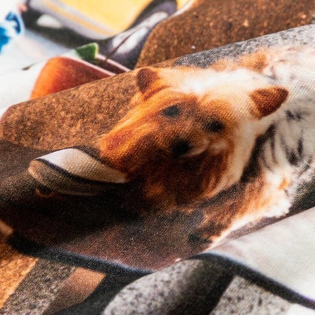TACOMA FUJI RECORDS タコマフジレコード "Table Dog photography by Reiko Toyama designed by Satoshi Suzuki"