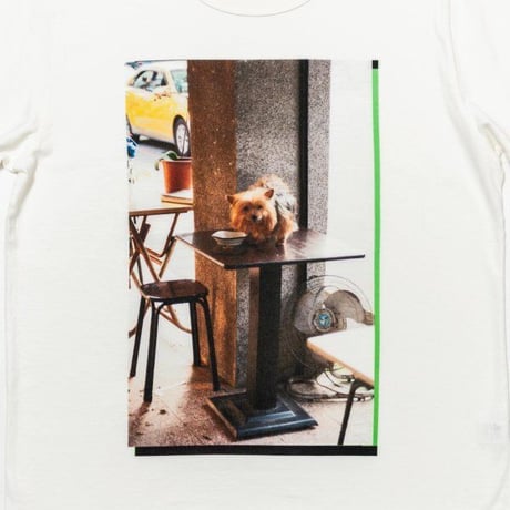 TACOMA FUJI RECORDS タコマフジレコード "Table Dog photography by Reiko Toyama designed by Satoshi Suzuki"