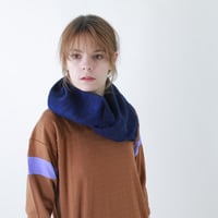 hint hint / STOLE02
