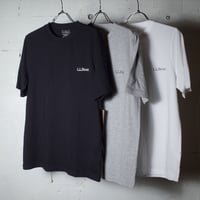 L.L.Bean エルエルビーン"Carefree Unshrinkable Tee, Short-Sleeve Graphic 2"