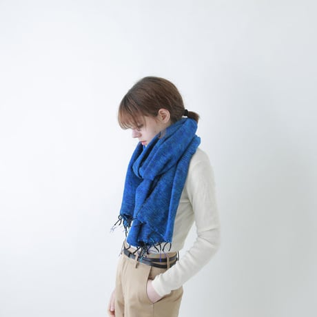 hint hint / STOLE02