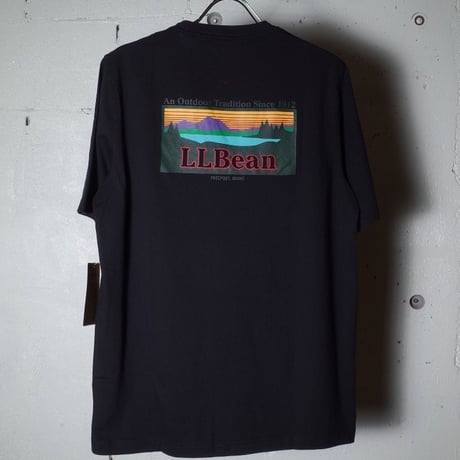 L.L.Bean エルエルビーン"Carefree Unshrinkable Tee, Short-Sleeve Graphic 2"