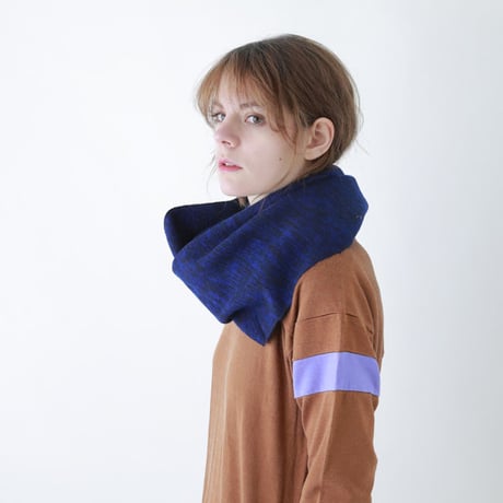 hint hint / STOLE02