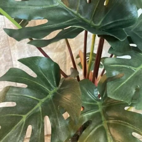 光触媒　人工観葉植物　ウォールグリーン　フェイクグリーン　モンステラ5