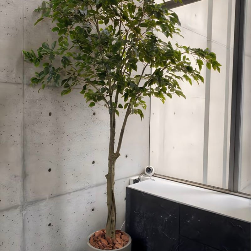 光触媒 人工観葉植物 ウォールグリーン フェイクグリーン ベンジャミン