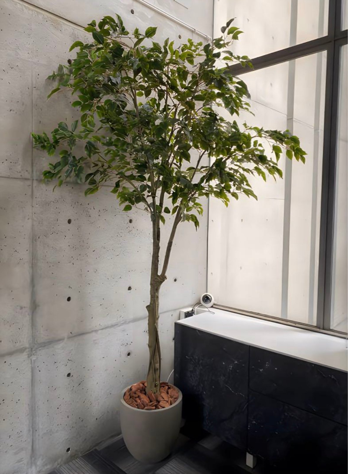 光触媒 人工観葉植物 ウォールグリーン フェイクグリーン ベンジャミン