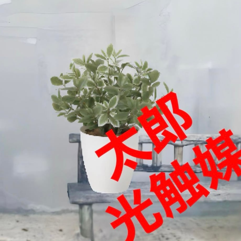 669c48fa86f8d44a94764cc2