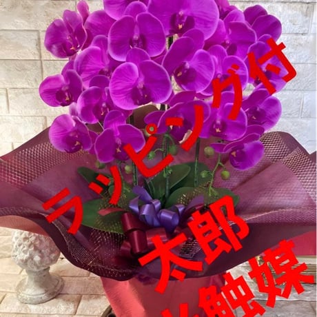 光触媒　人工観葉植物　ウォールグリーン　フェイクグリーン　リアル胡蝶蘭74