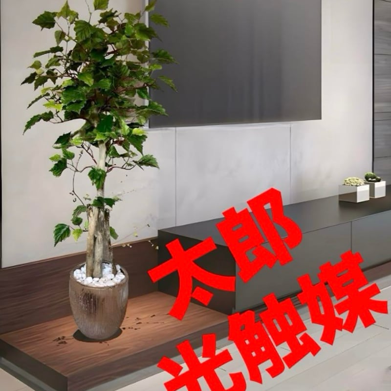 光触媒　人工観葉植物　抗菌消臭　ウォールグリーン　くねくねパキラ 高さ90cm】Nature 光触媒人工観葉植物 パキラ | インテリア家具