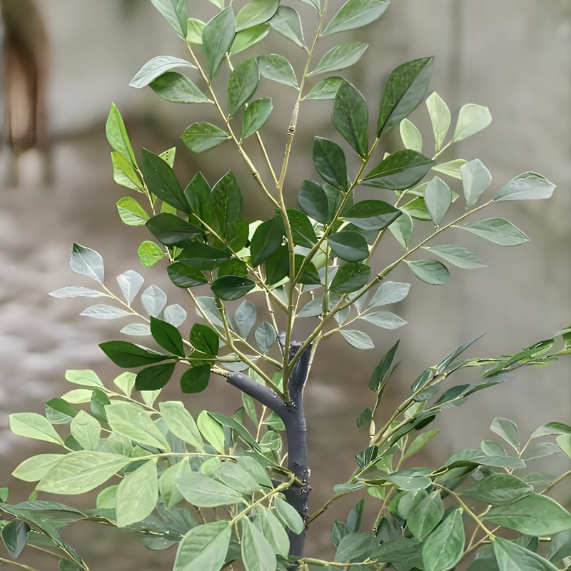 光触媒　人工観葉植物　ウォールグリーン　フェイクグリーン　トネリコ1.6m 光触媒 人工観葉植物 ウォールグリーン フェイクグリーン