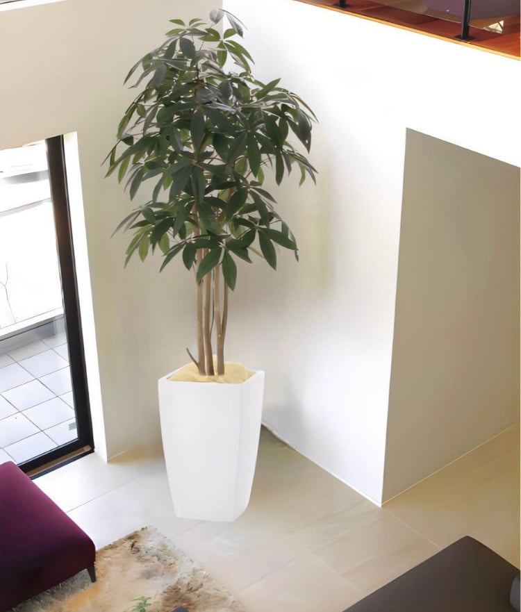 光触媒 人工観葉植物 フェイクグリーン アーバンパキラ1.8 | 太郎's STORE