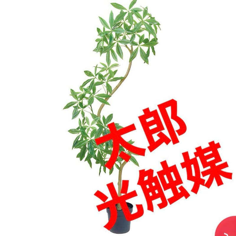 光触媒 人工観葉植物 ウォールグリーン フェイクグリーン パキラ