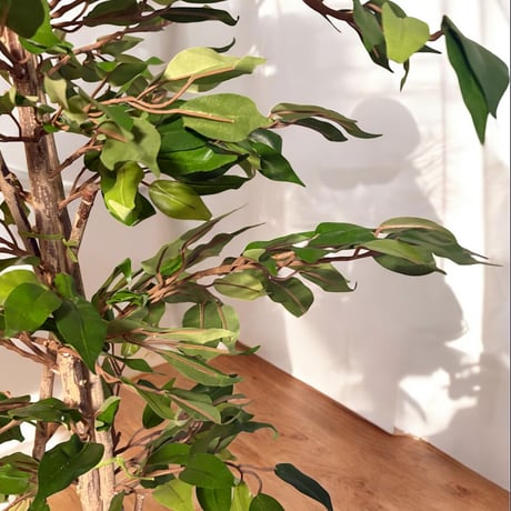 光触媒　人工観葉植物　ウォールグリーン　フェイクグリーン　ベンジャミン13058