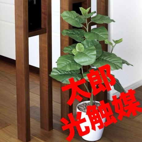 光触媒　人工観葉植物　フェイクグリーン　ウンベラータ高さ80センチ@@