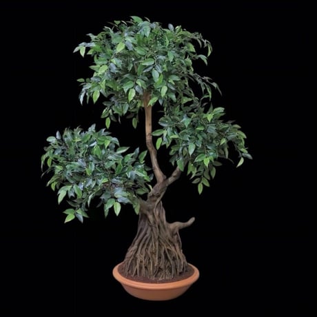 光触媒　人工観葉植物　ウォールグリーン　フェイクグリーン　盆栽フィカス1916