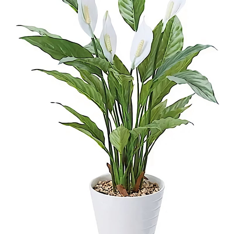 光触媒 人工観葉植物 ウォールグリーン フェイクグリーン