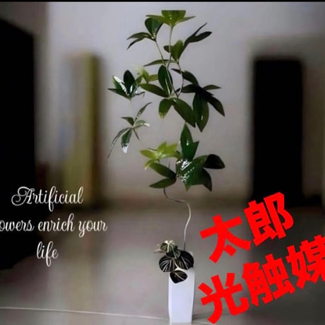 光触媒　人工観葉植物　ウォールグリーン　フェイクグリーン　ニューパキラ花器付き