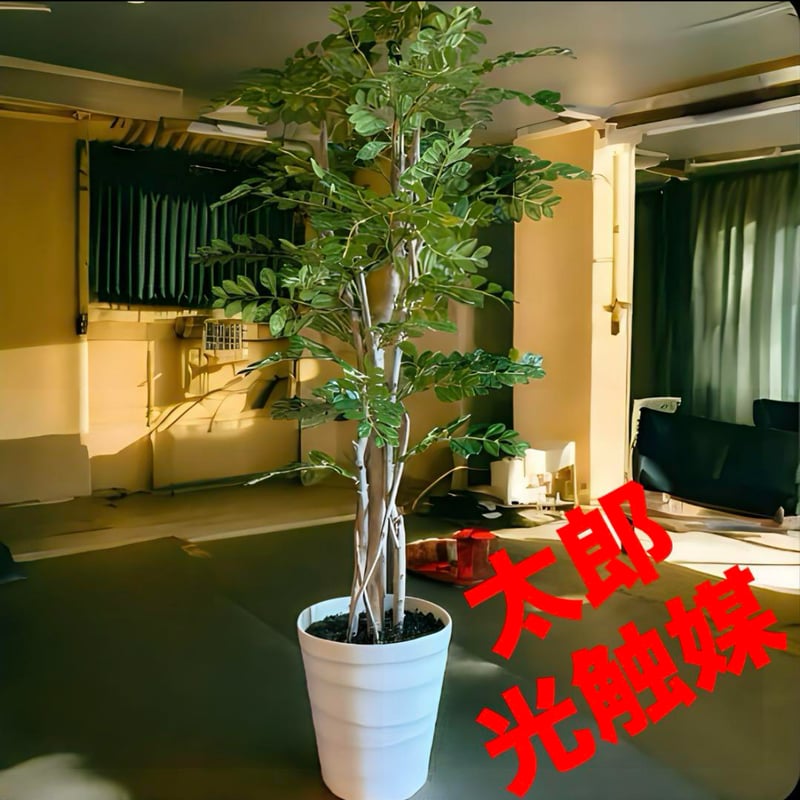 太郎's STORE