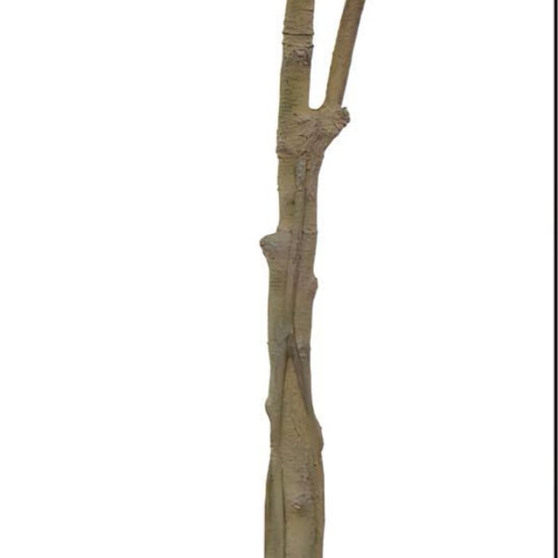 光触媒 人工観葉植物 ウォールグリーン フェイクグリーン ベンジャミン